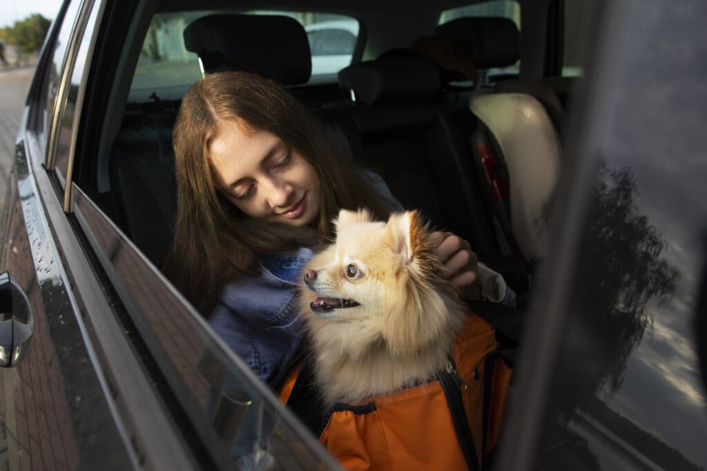 dona levando seu pet para passear no carro usando uma bolsa de transporte.