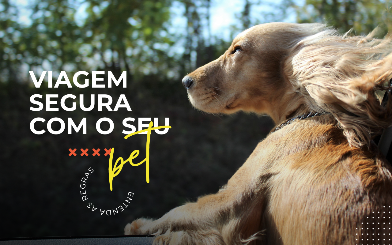 viagem-segura-com-seu-pet-entenda-as-regras-do-transporte-de-animais